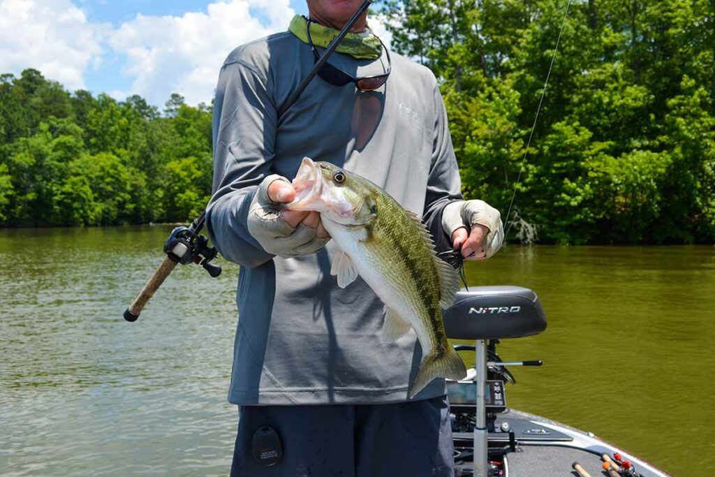West Point Lake -Destination Troup County Georgia