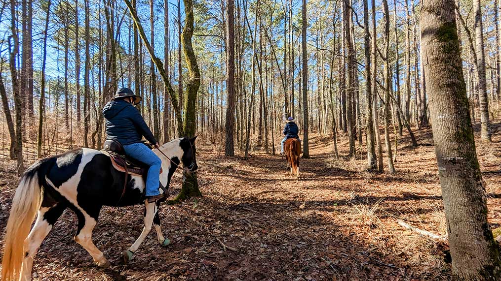 An equestrian utilizes the Oakfuskee Trail System in Troup County, Georgia.