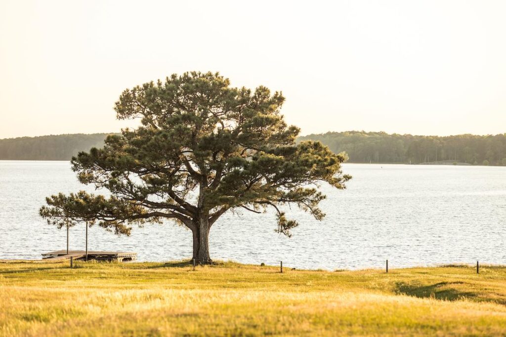 West-Point-Lake-Destination-Troup