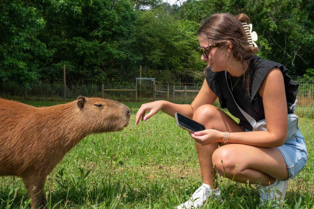 iron-p-homestead-zoo-destination-troup