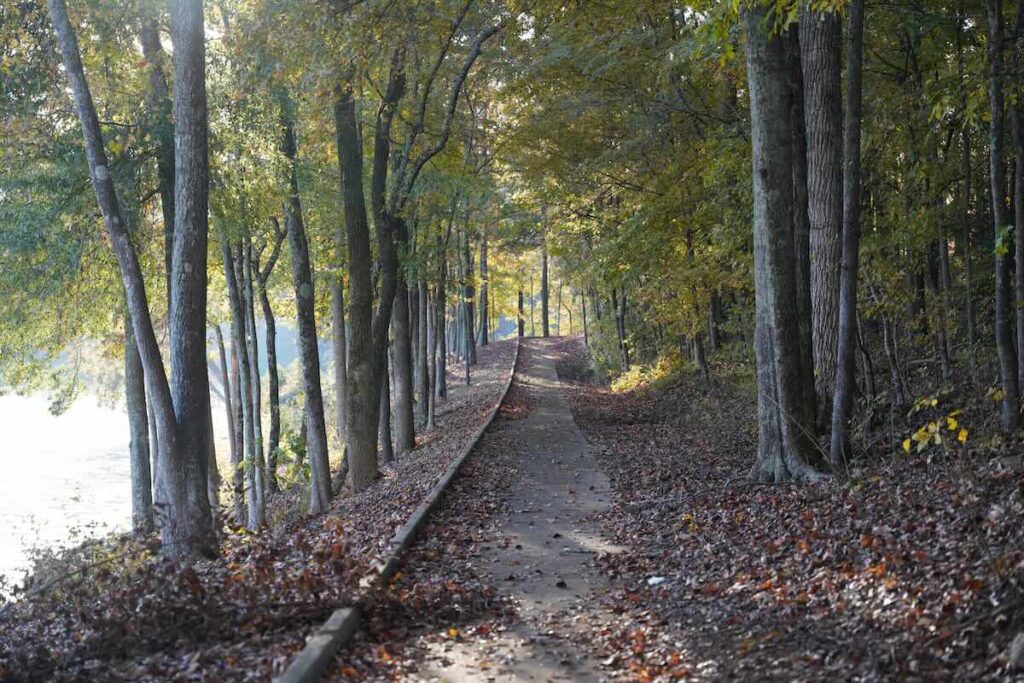 McGee Bridge Recreation Area West Point Lake - Destination Troup County Georgia